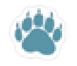 Kuma
